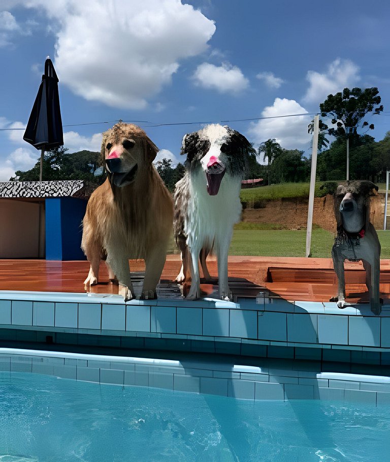 Casarão de Fazenda,Simples e Rústico!