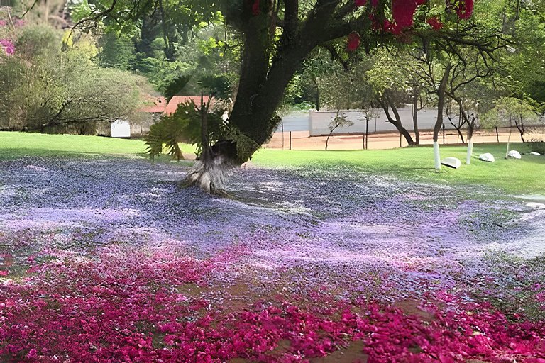 Casarão de Fazenda,Simples e Rústico!